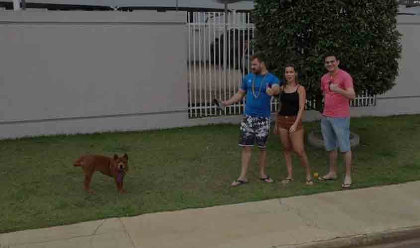 Síndico obriga moradores de condomínio a andar com cachorros no colo e empresário registra segunda queixa na polícia