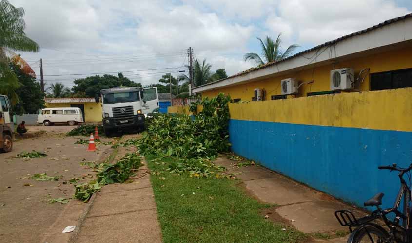 Prefeitura erradica árvores que representam riscos em escolas municipais