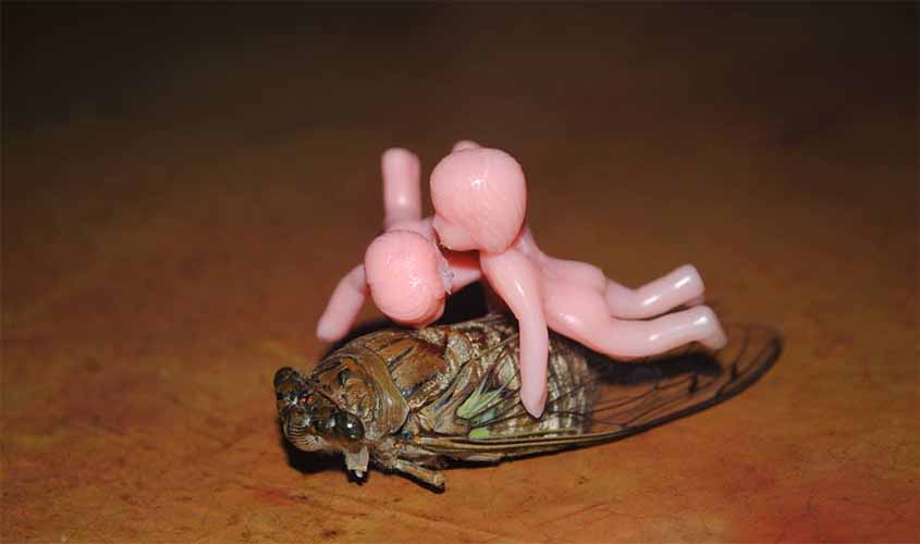 Exposição de fotografia e multimídia na Casa Ruante, em Porto Velho