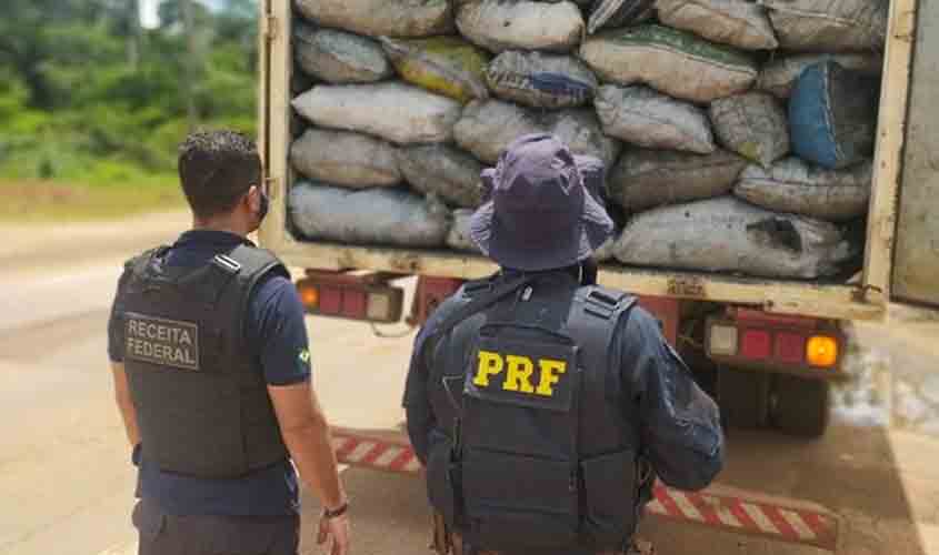 Em operação conjunta, PRF e RFB flagram crime ambiental e uso de documento falso