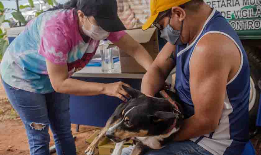 Vacinação antirrábica acontece nas vilas Dnit e São João neste sábado (2)