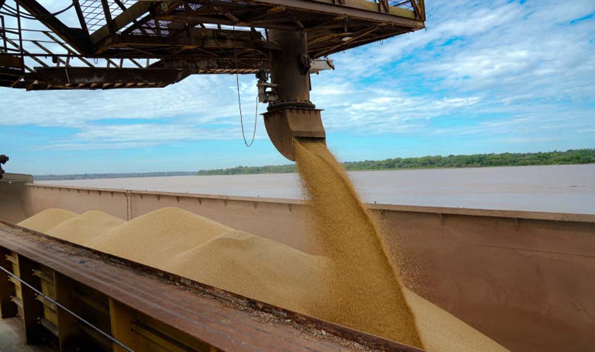 Porto Velho lidera a produção de soja em Rondônia e se consolida como nova fronteira agrícola