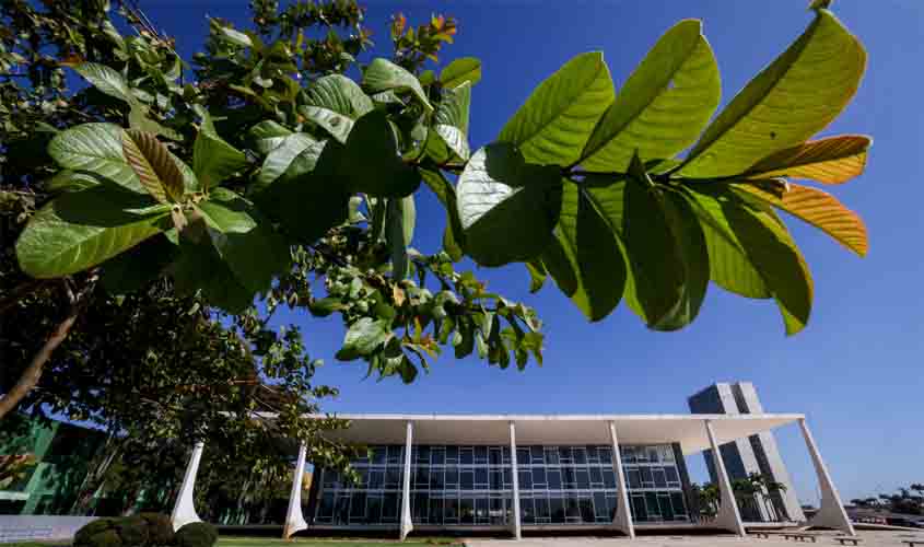 STF valida limites para dedução de despesas com educação na declaração de IR