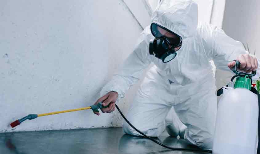 Dedetização em Hospitais: Garantindo a segurança e saúde dos pacientes