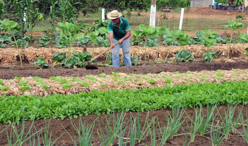 Parceria amplia crédito rural a agricultores familiares em RO