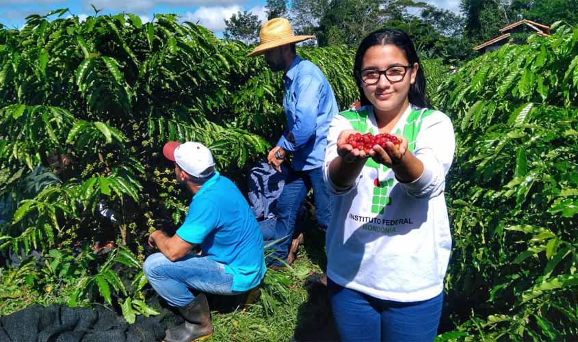 IFRO Campus Cacoal realiza primeira colheita de café
