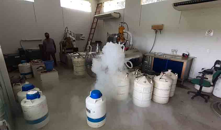 Produtores de leite do Cone Sul já receberam mais de 1.400 litros de nitrogênio líquido neste ano