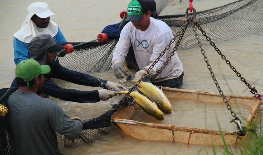 Portaria fiscaliza períodos de reprodução natural de peixes