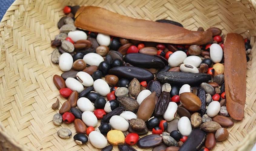 RESEBA encerra encontro com foco em bioeconomia