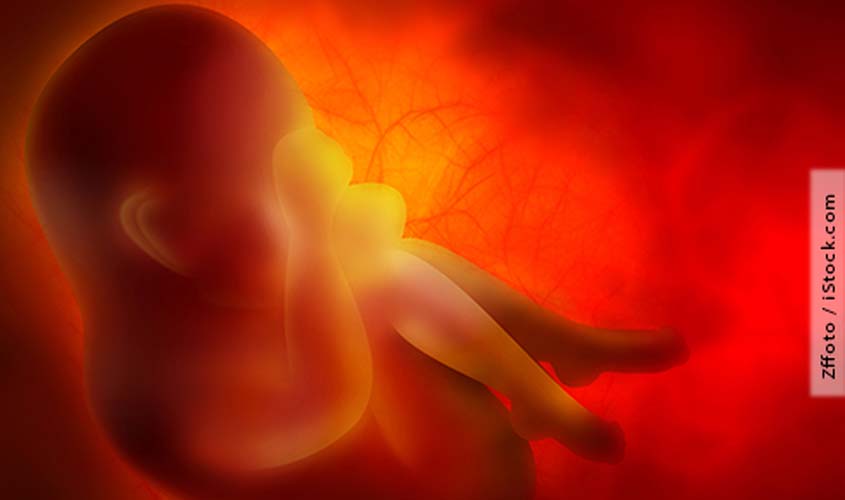 Jurisprudência reconhece direitos e limites à proteção jurídica do nascituro