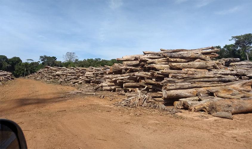 PF prende homem que transportava madeira ilegalmente
