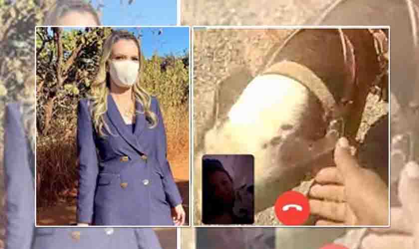 Jornalista é mordida por cachorro durante cobertura do caso Lázaro: 'tirei o dente da minha perna'