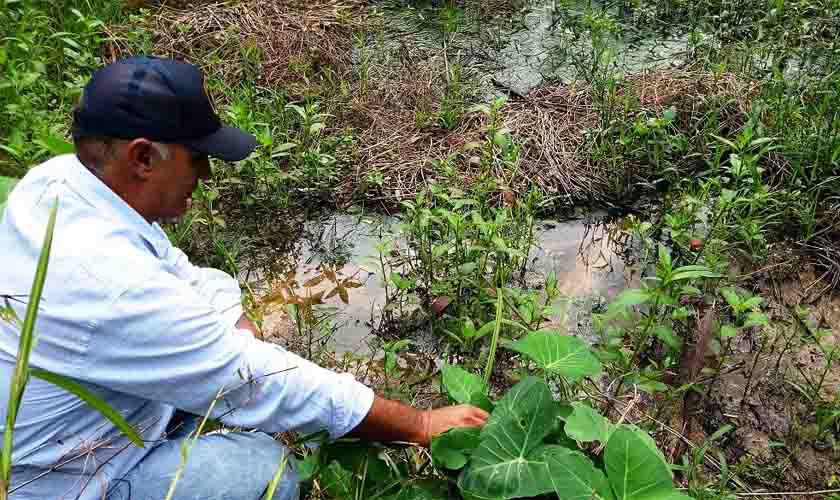 Sedam elabora projeto de recuperação de nascentes para ser implantado