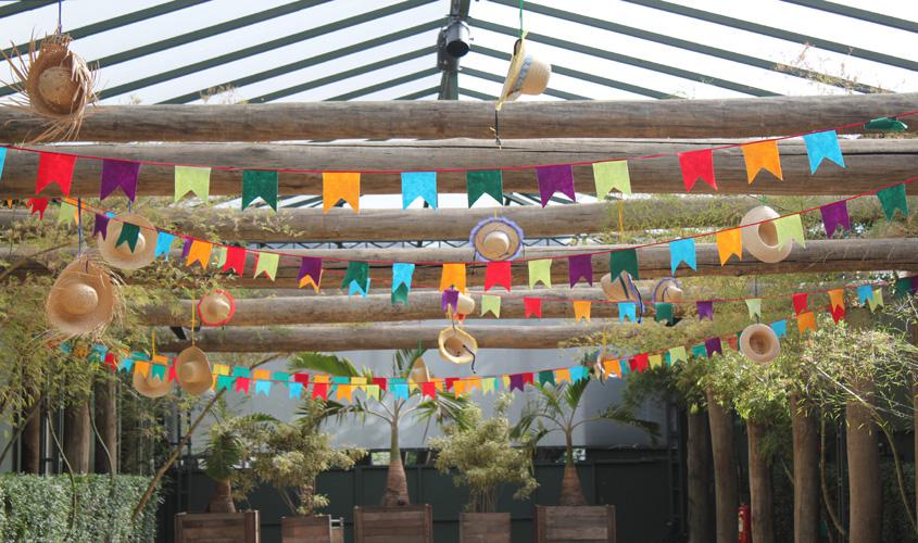 Arraiá do Vovô São Vicente neste sábado na Casa do Ancião