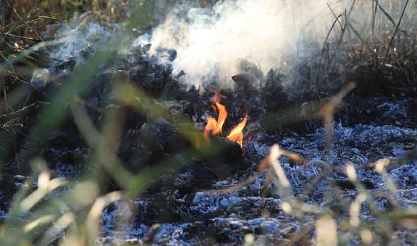 Prefeitura de Porto Velho intensifica ações contra queimadas e realiza manutenção de espaços públicos com aceiro