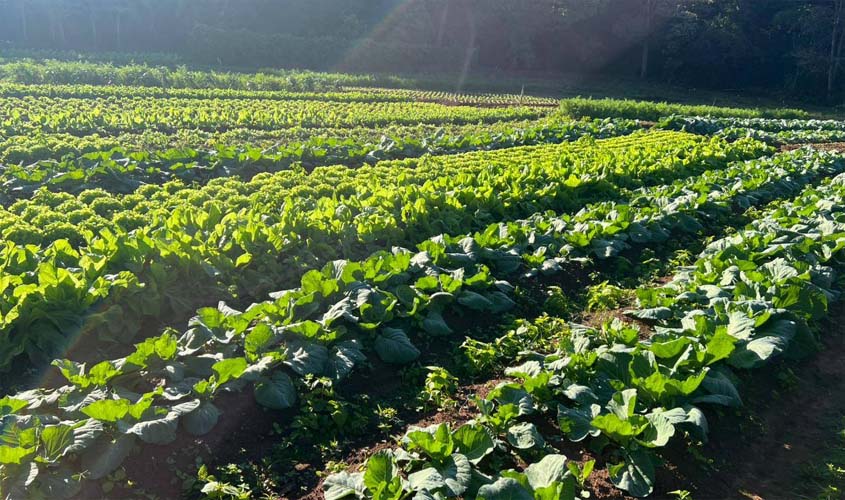 Prefeitura atualiza preços da agricultura familiar e merenda