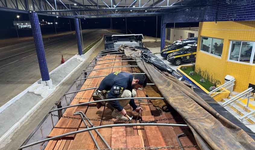 PRF registra maior apreensão de madeira ilegal em rodovias federais do país