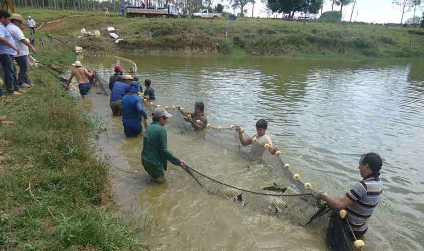 Com financiamento do governo de RO, projeto inovador do programa Centelha é destaque em artigo publicado