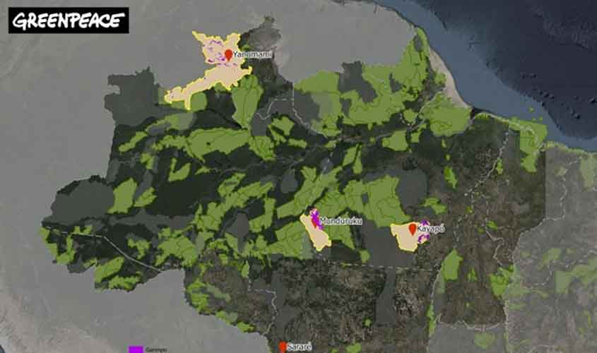 Ações continuadas de desintrusão fazem garimpo recuar nas Terras Indígenas Munduruku, Kayapó e Yanomami