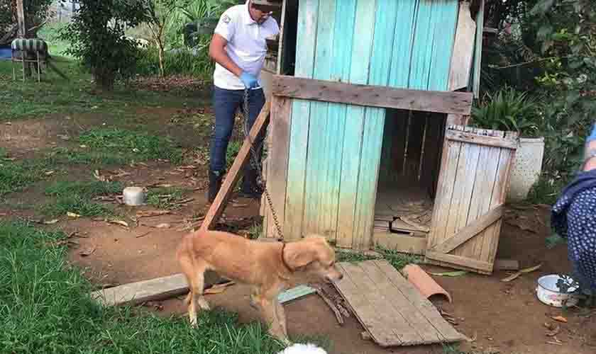 Operação resgata 30 cachorros e gatos em condições de maus-tratos