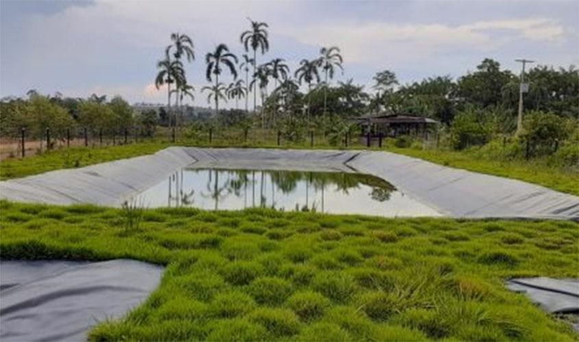 Novas tecnologias ampliam a produção do pirarucu em Rondônia