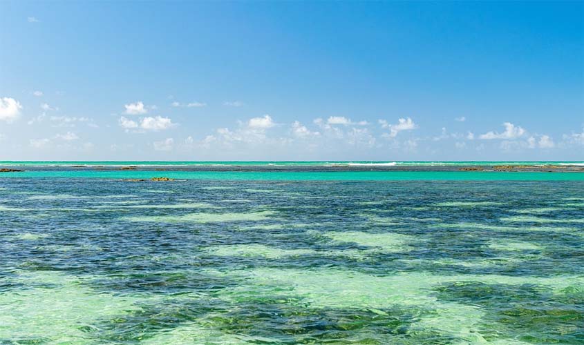 7 lugares divertidos para ir com os pequenos