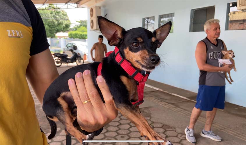 Mais de 90 locais recebem vacinação antirrábica