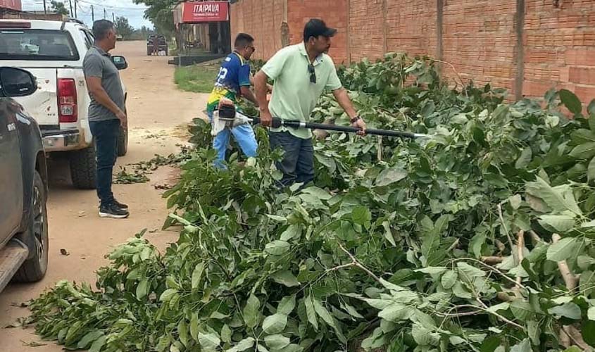 Tráfego é liberado após queda de árvore no Cristal da Calama