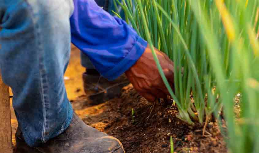 Decreto regulamenta contratação de mão de obra apenada para serviços da Administração Pública de Rondônia