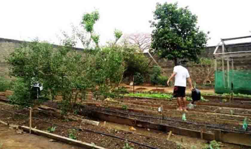 Sistema socioeducativo capacitou agentes, ministrou cursos e recebeu homenagem nacional em 2021