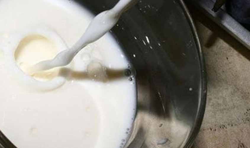 Saiba os motivos que levam ao reajuste no preço do leite e derivados neste início de ano