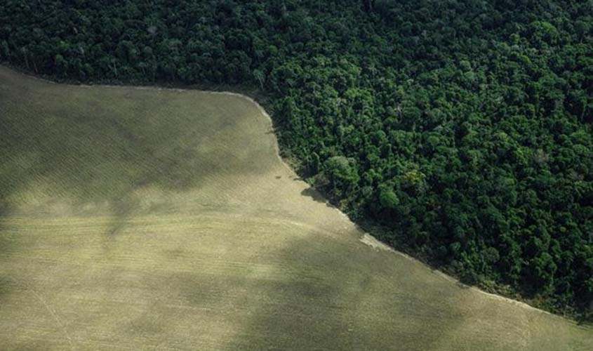 Saída da Moratória da Soja é criticada por retrocesso ambiental