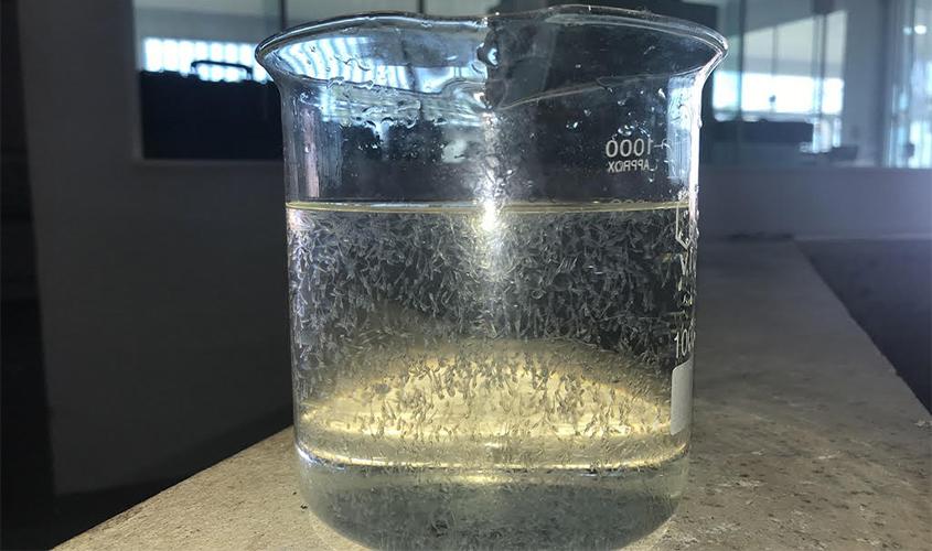 Curimbas nascem no Laboratório de Reprodução de Peixes da Hidrelétrica Santo Antônio