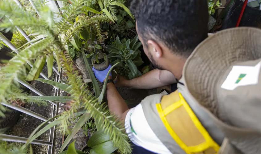 Dia D: secretarias de saúde promovem ações de combate à dengue