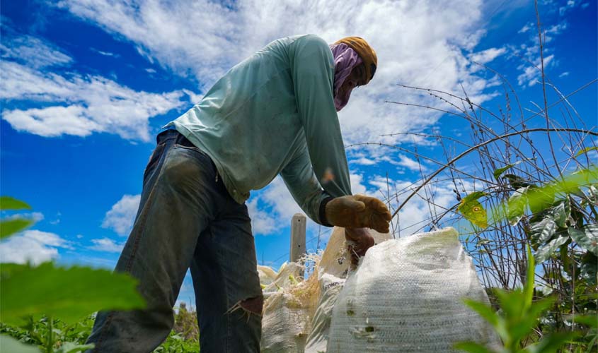 Alimentos ficam mais baratos com transporte da Prefeitura de PVH