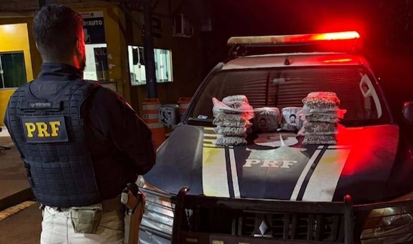 PRF apreende mais de 10 kg de Skunk na BR-425