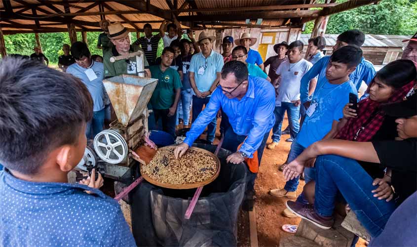 Produção de café especial do Povo Suruí Paiter pode crescer até 60% em 2019
