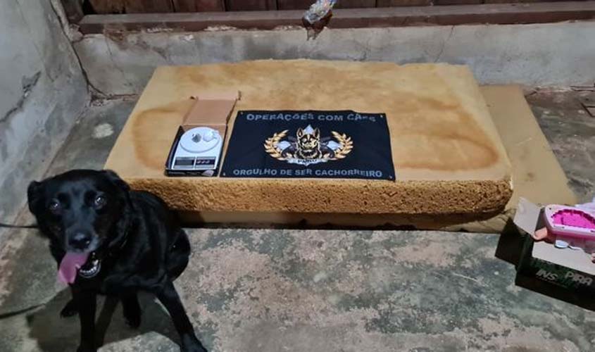 Com apoio de canil, mais um ponto de venda de drogas é descoberto