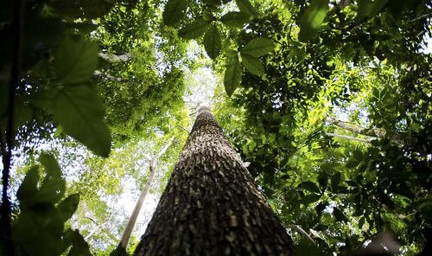 Lei do Licenciamento Ambiental vai trazer segurança jurídica e investimentos para o país