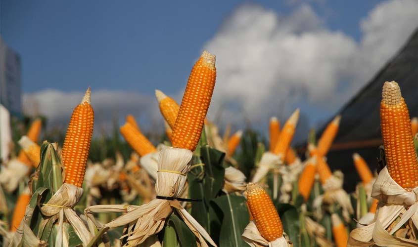 A logística na Ponta do Abunã beneficiará a região norte de Rondônia, assim como o estado do Acre