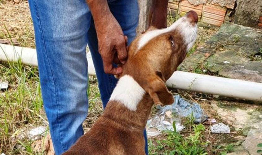 Agentes da Delegacia do Meio Ambiente resgatam animais maltratados