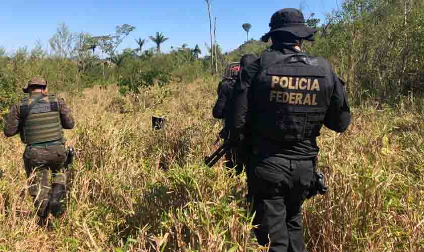 Polícia Federal combate desmatamento ilegal na Terra Indígena Sete de Setembro