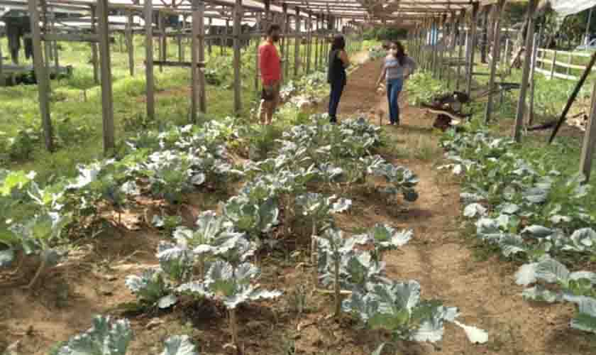 Município apresenta alternativas às queimadas na agricultura