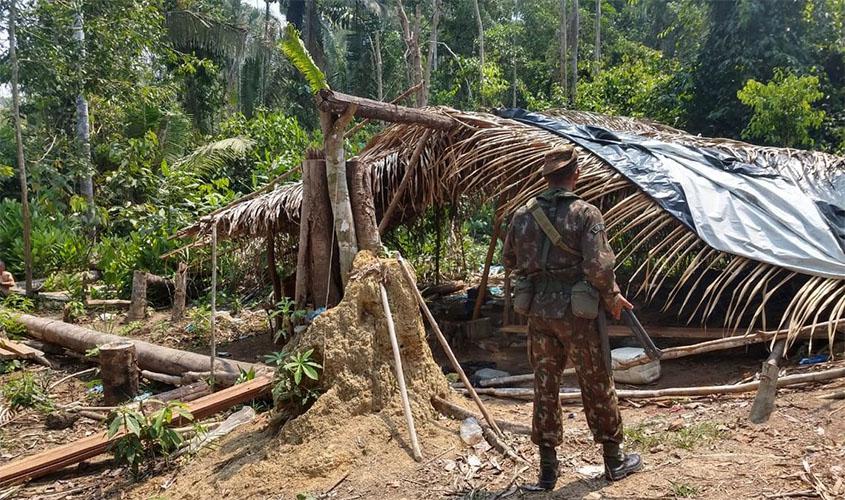 Oito são detidos na Operação Verde Brasil em Rondônia