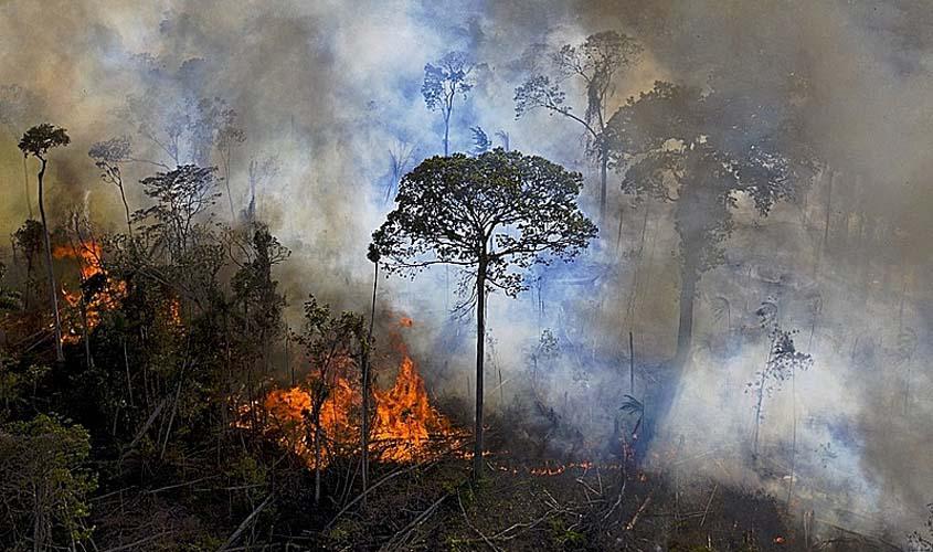 Parlamentares de Rondônia votaram a favor de PLs do chamado Pacote da Destruição de Bolsonaro em mais de 40% das deliberações