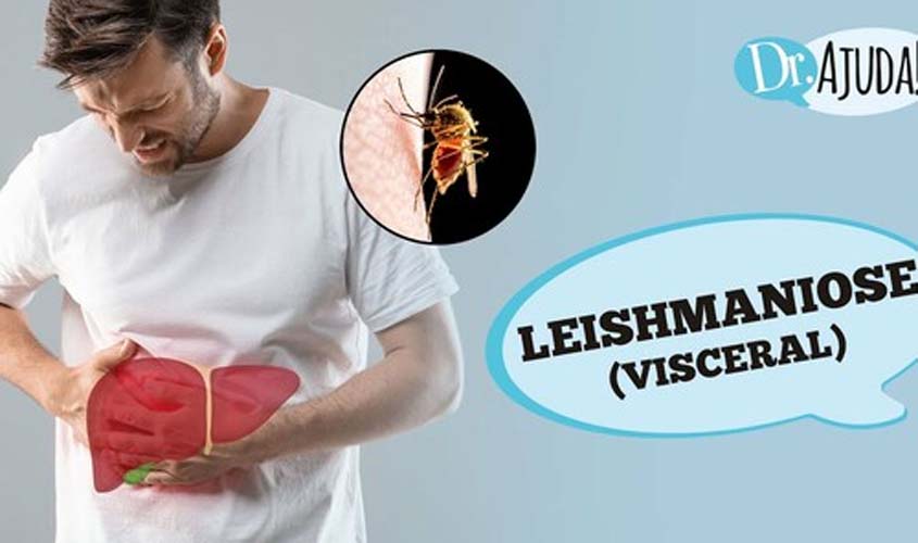 LEISHMANIOSE VISCERAL: o que é, sintomas e como tratar?