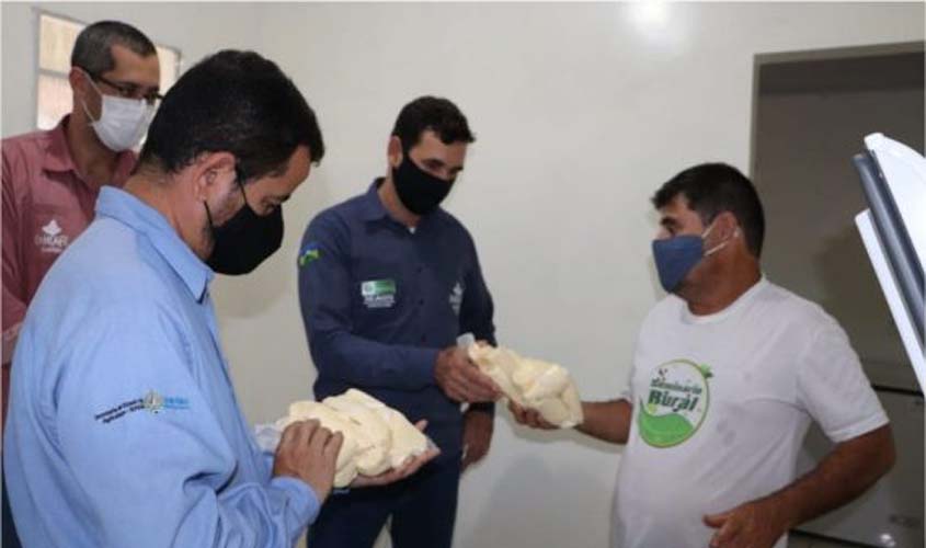 Agroindústria familiar agrega valor à produção com venda de mandioca descascada e congelada