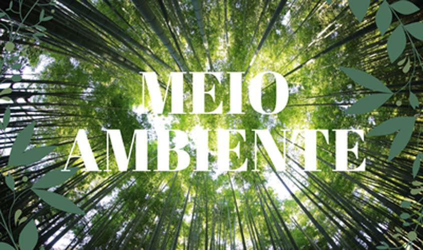 Para evitar novas ocupações em área de proteção ambiental, MPF alerta Prefeitura, cartórios e Energisa