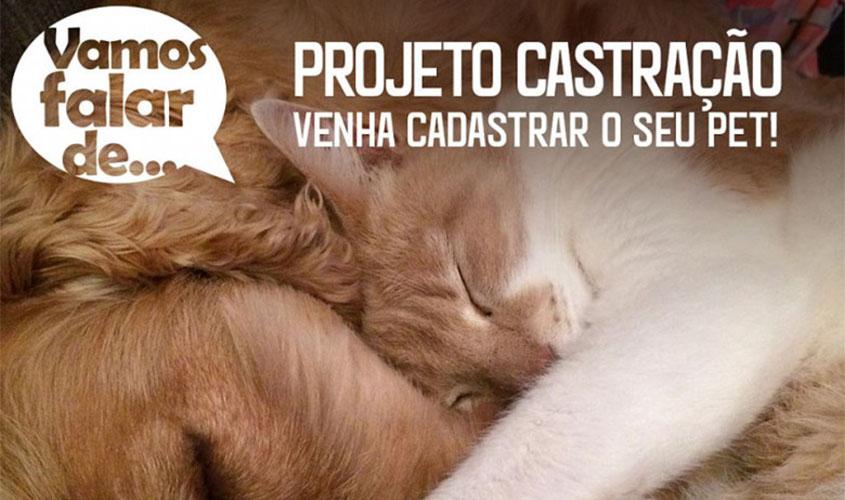 Prefeitura inicia novo cadastro para castração de animais domésticos
