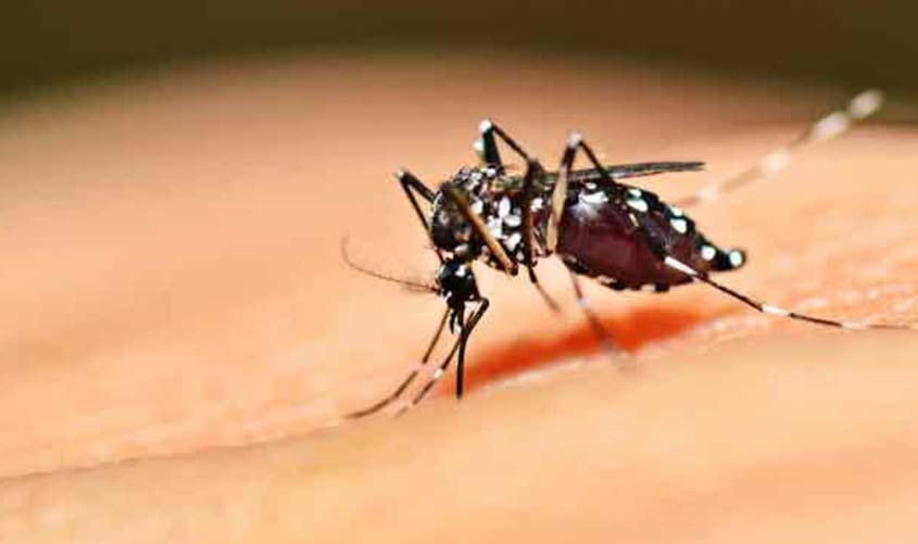 Semusa intensifica combate à dengue, zika e chikungunya